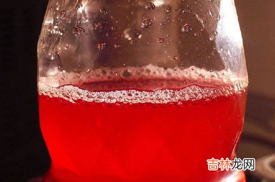 做李子酒比例