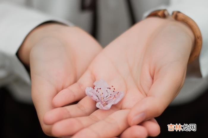 爱情就像悬崖上的一朵花 一个男人的真诚,永远无法用三两句情话来代替