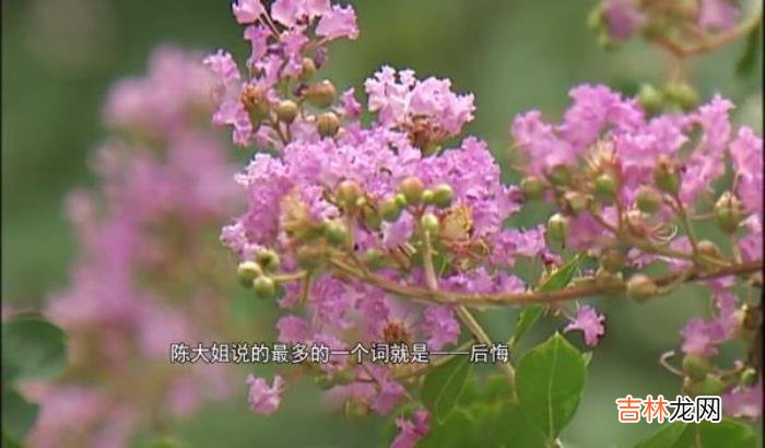 合肥的方哥给我们专栏打电话 两个人之间的这种关系不应该从一开始就开始，这是一件不光彩的事