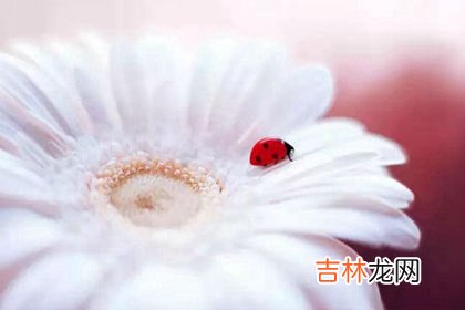 2020年属鼠闰四月出生哪天好,2012年闰四月属龙人出生命运
