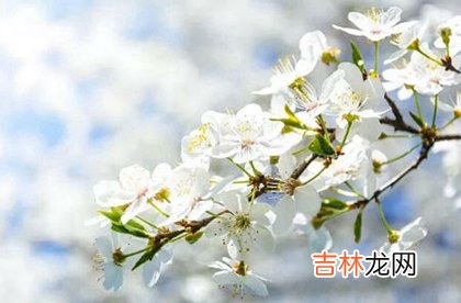 1974年闰四月出生的虎命好吗,出现闰四月年份有哪几年