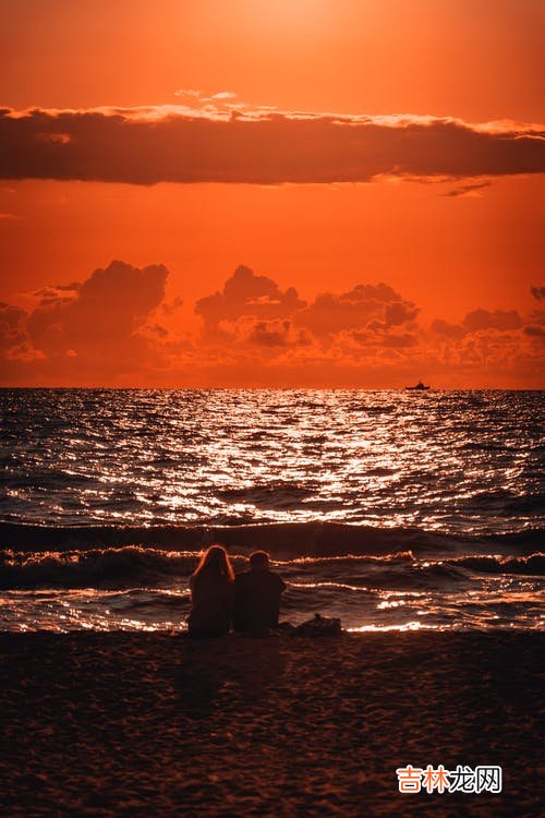 一段感情虽然需要奋不顾身的争取 夸张是夸张了点,但那种感觉,真的让人觉得很生分,距离很远