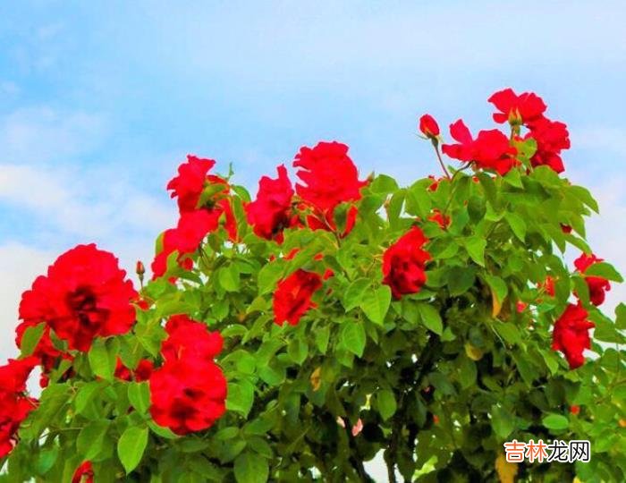 1.如果有一天 62天里，我决定往后余生，只为自己而活