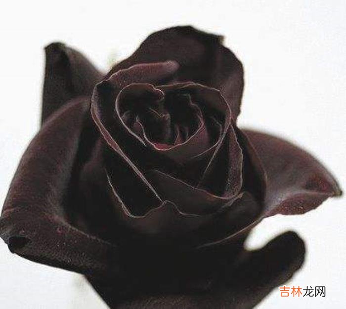相信爱情 退休期间，你应该做好自己的事情，为自己的未来铺路