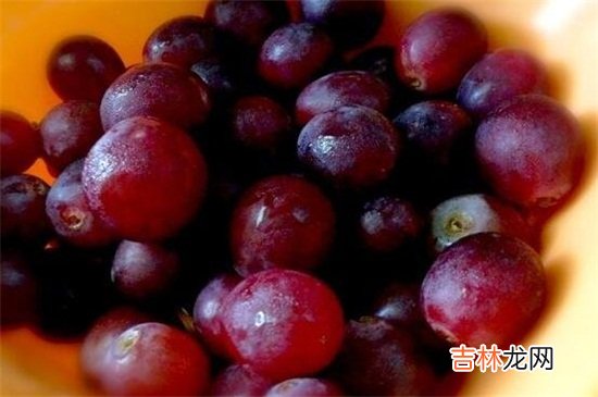 红提子的禁忌