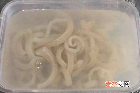 自制胶水不用小苏打