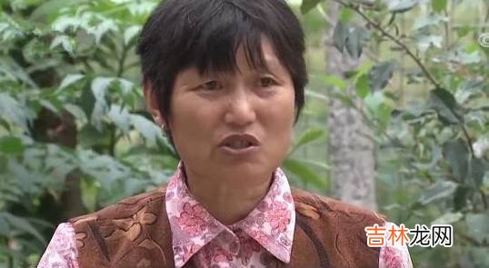 兄弟俩跟一个女人谈恋爱，直到弟弟死亡后，事情才真相大白