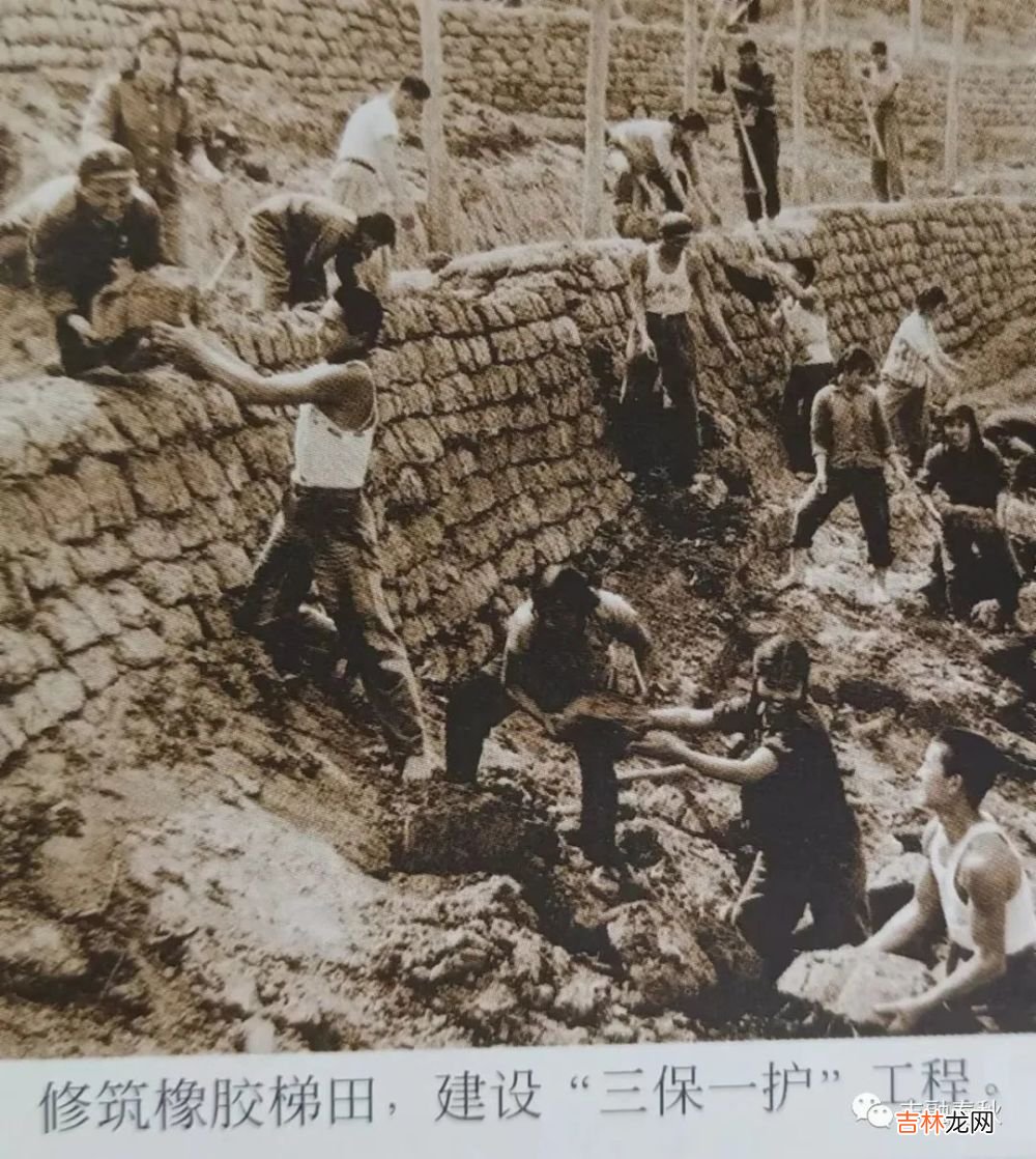 【短篇小说】陈绍炎｜胶篓中的爱情