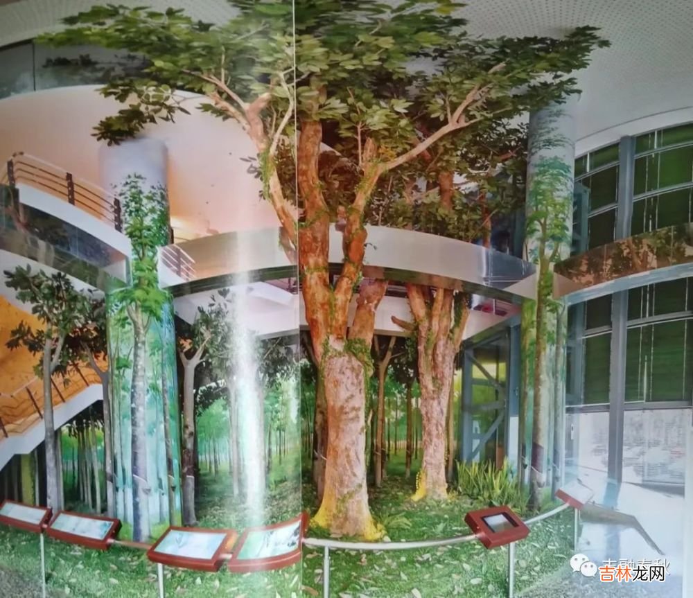 【短篇小说】陈绍炎｜胶篓中的爱情