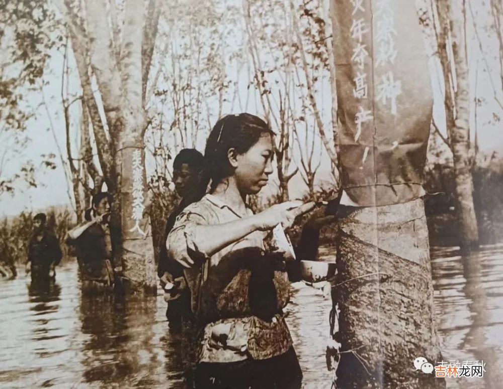 【短篇小说】陈绍炎|胶篓中的爱情