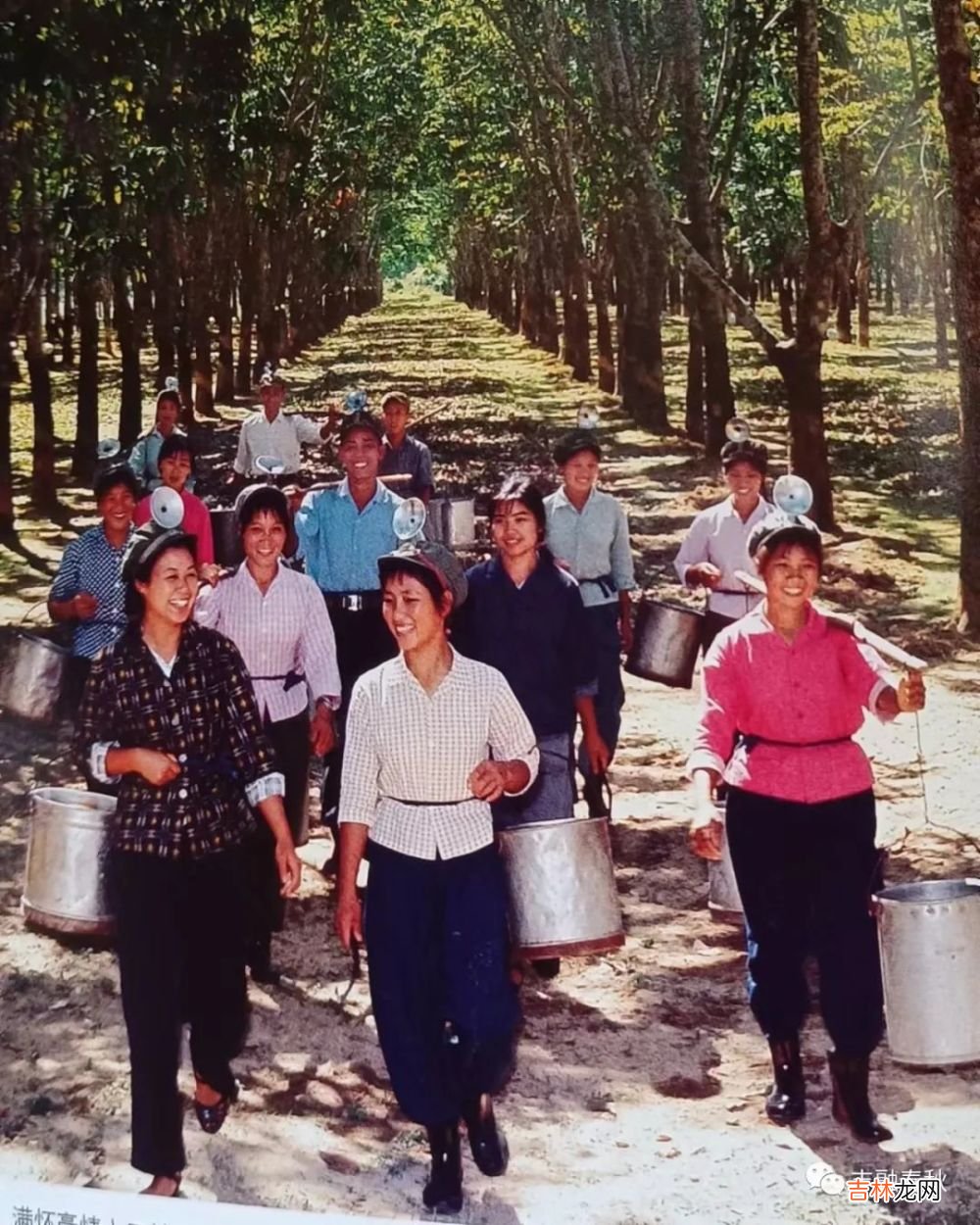 【短篇小说】陈绍炎｜胶篓中的爱情