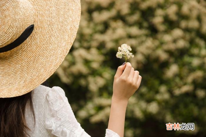 《围城》 真正聪明的女人不为过往的决策而后悔