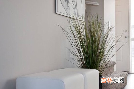 白墙上的蜡笔怎么去掉