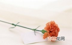 出生在鸡年母亲节的人命运好不好？2020母亲节适不适合出行？