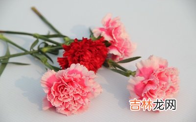 生肖猴年母亲节出生的人一生命运顺不顺？2020母亲节搬家吗？