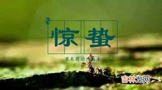 星座,2020年3月5日当天什么时辰是惊蛰,卦象是什么?
