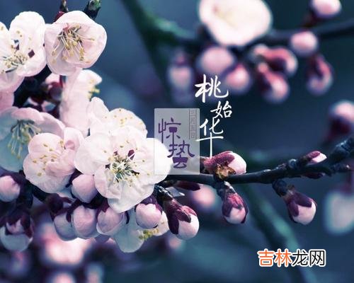 算卦,惊蛰节气时吃梨有什么寓意，“一不三要”指什么？
