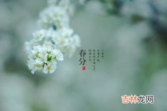 19—22 免费算命婚姻,阳历3月春分日结婚怎么样，结婚择吉日！