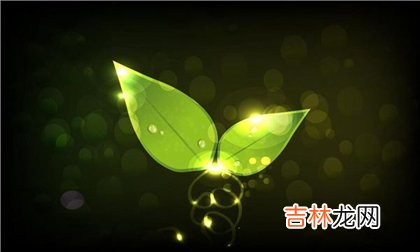 生辰八字算命,2020年二月十九植树节适合安床吗,植树节是几月几日2020?