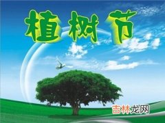 生辰八字算命,2020年二月十九植树节适合安床吗,植树节是几月几日2020？