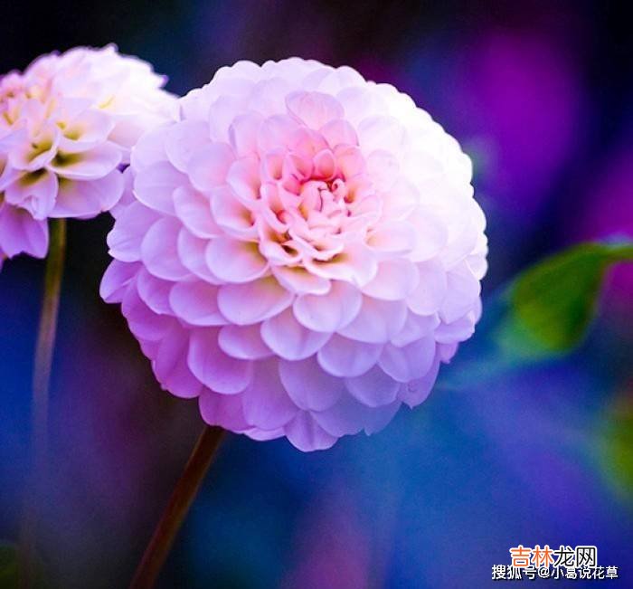 适合做个性签名的句子，句句经典，唯美有内涵