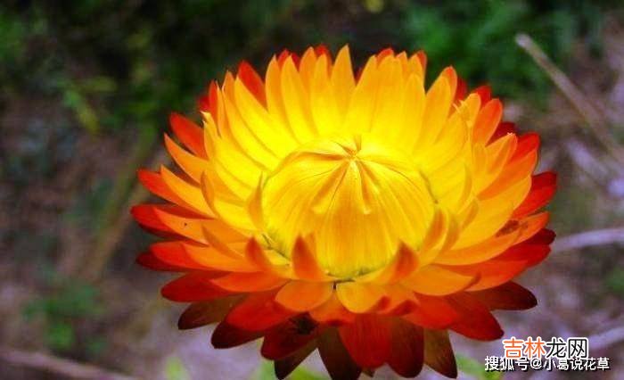 适合做个性签名的句子，句句经典，唯美有内涵