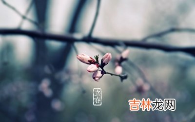 专业八字测试,2020庚子年立春可以乔迁新家吗？立春是什么时候？