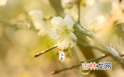 星座运势,2020年立春还要几天？立春节气吃什么食物？