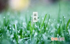 抽签算命,2020年的雨水节气是阳历几月几号，卦象运势好吗？