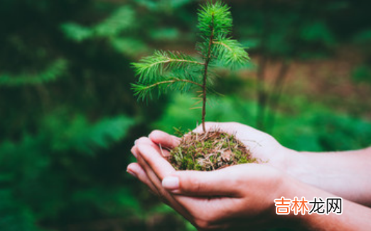 生辰八字算命,2020年雨水节气倒计时几天·雨水当日相冲属相是？