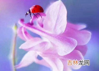 易奇八字,2020年农历二月初四出生女孩五行缺什么,命运怎么样?