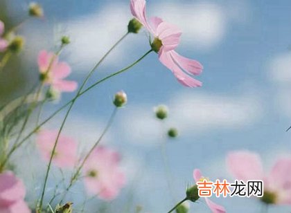 易奇八字,2020年农历二月初四出生女孩五行缺什么,命运怎么样?