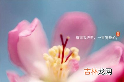 生辰八字算命,2020年二月十二惊蛰可以理发吗,惊蛰节气有什么含义?