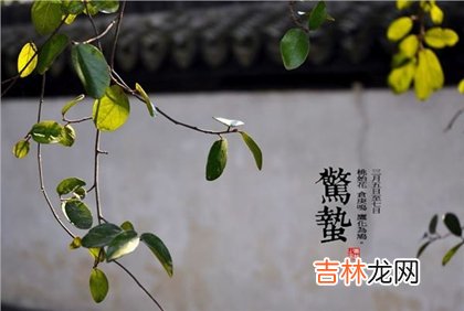 生辰八字算命,2020年二月十二惊蛰可以理发吗,惊蛰节气有什么含义?