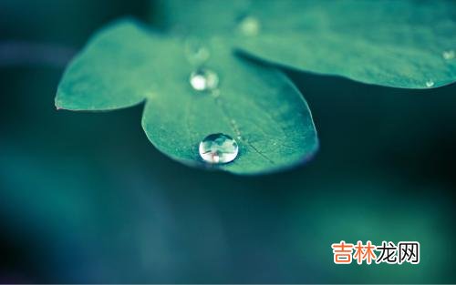 生肖算命,2020年的第二个节气雨水是哪天，还有几天到来？