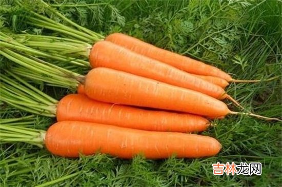 茭白和胡萝卜能一起吃吗