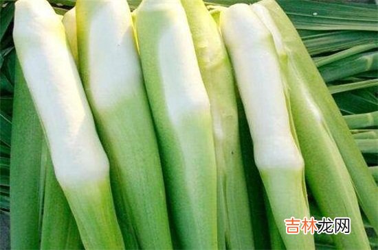 茭白和胡萝卜能一起吃吗