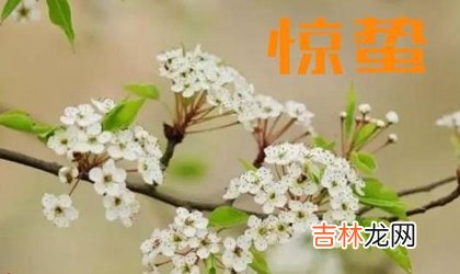 在线算命大全,2020年惊蛰前一天二月十一出生女孩八字弱吗,运势怎么样？