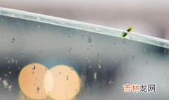 生辰八字算命,2020年雨水是什么日子，卦象运势顺不顺？