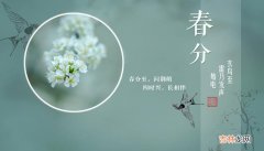 周易算命,生肖鼠在春分节气出生好不好？春分可以生孩子吗？