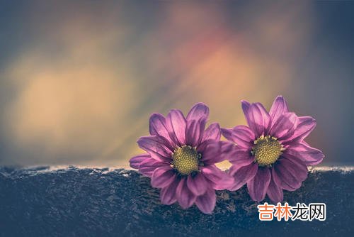 50岁到60岁这十年，家中出现这些信号，是你晚年的福缘
