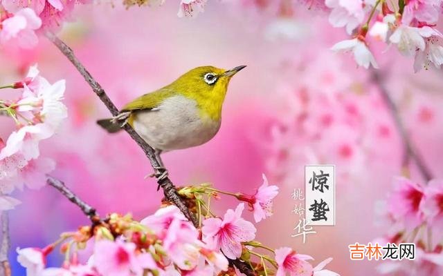 在线排盘,2020年惊蛰这天的时辰吉凶如何?宜忌如何?