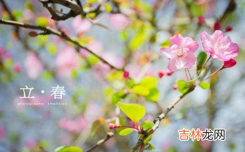 免费算命婚姻,节气立春之日要做什么，要“迎春踏春”吗？