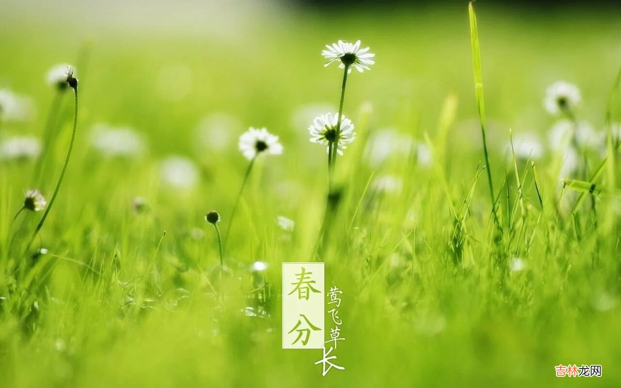 生辰八字算命,2020年春分节气是什么时候?有什么禁忌?
