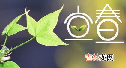 专业八字测试,2020年正月十一立春可以祭祖吗,立春为什么不能回娘家？