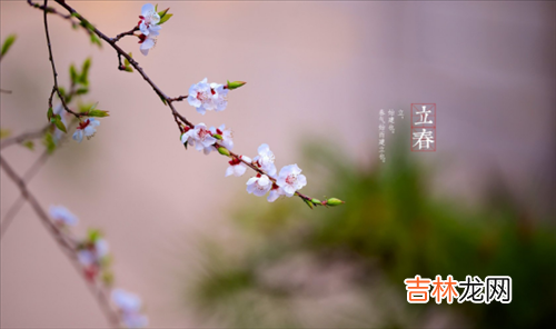 2月3日—2月5日 生肖算命,立春时节要注意保护阳气吗？