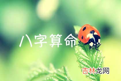 易奇八字,周易易经：八字格局有几大类