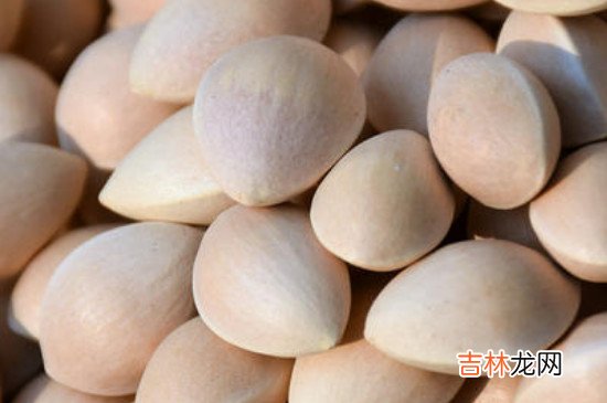 银杏果皮汁有毒吗