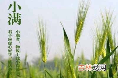 属牛的人小满节气出生好吗？2020小满节气卦象好吗？
