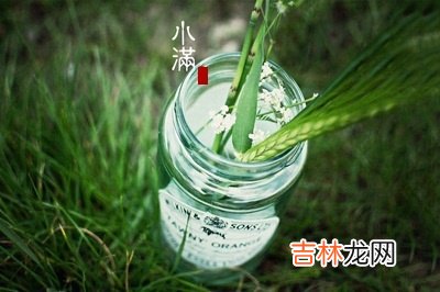 小满节气简介，属兔的人小满节气出生命运怎么样？